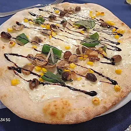 Almamed San Leonardo